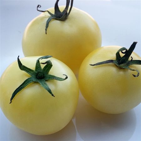 Tomatele White Beauty, un deliciu aparte