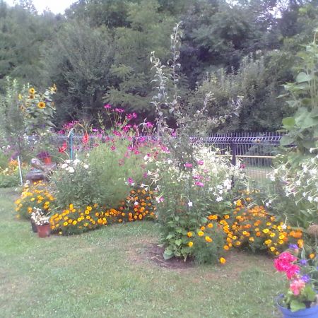 flori din gradina mea