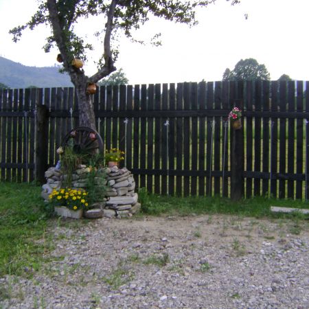 gradina mea