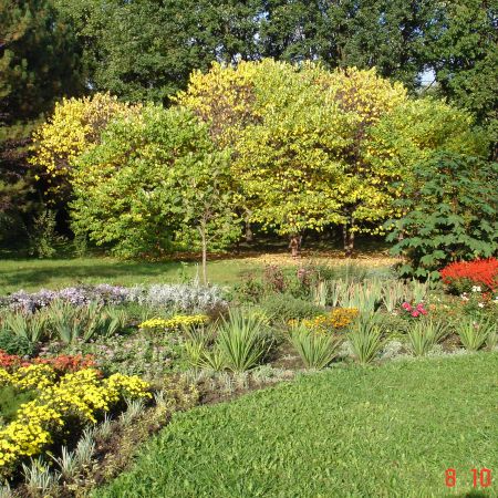 dendrarium, chisinau