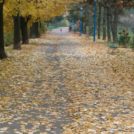 Toamna in parcul circului