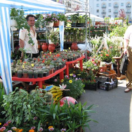 Expo Bucuresti 2007