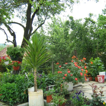 GRADINA