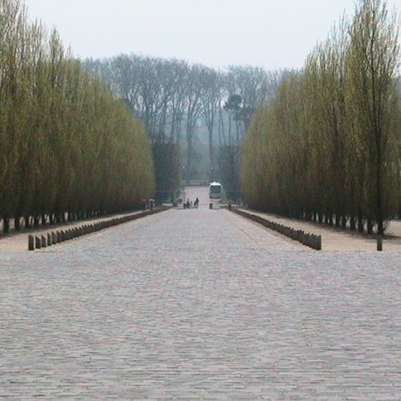 gradinile Versailles