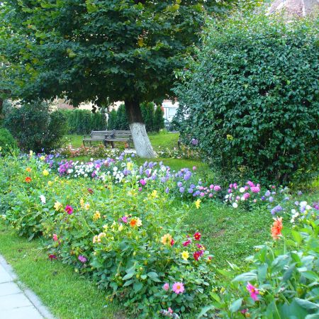 parc in sighisoara