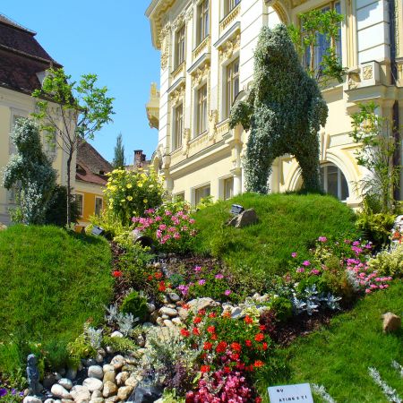 sibiu 2007