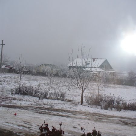 garten im winter