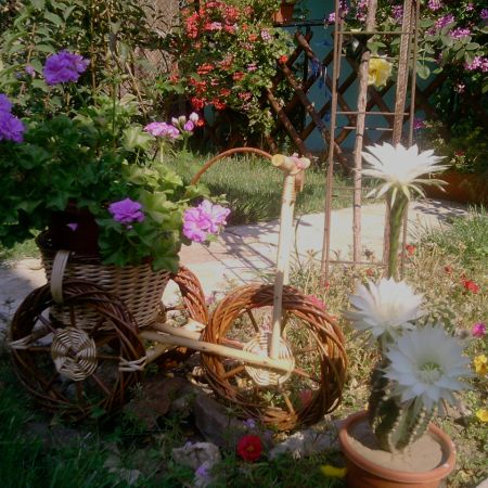 bicicleta cu flori