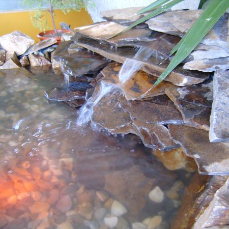 amenajare iaz cu, cascada in interior