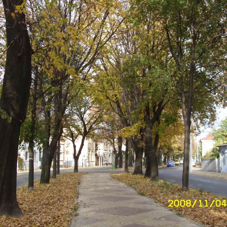 undeva prin braila