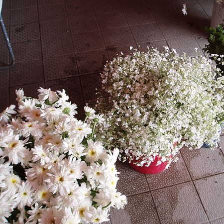 flori in piata