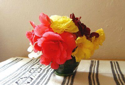 begonia_arrangement