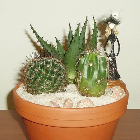 Cactus varianta horror **Cris