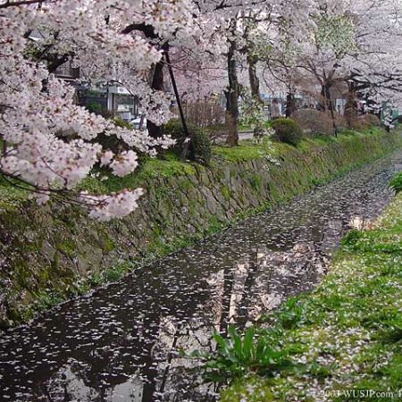 Japonia
