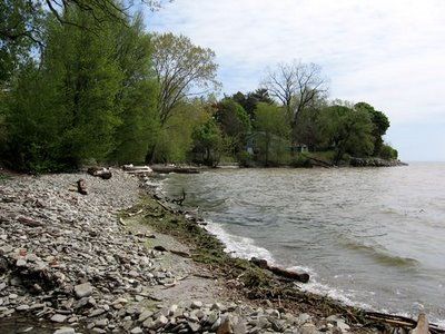 Lake Ontario Mississauga