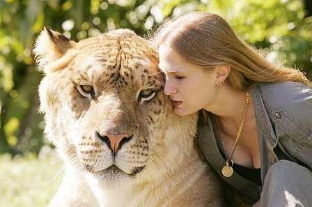 liger