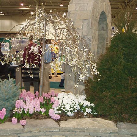 Garden show **Cris