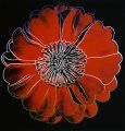 Andy Warhol - Floare
