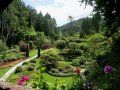 gradina 987