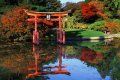 poarta Torii, gradina japoneza din New York