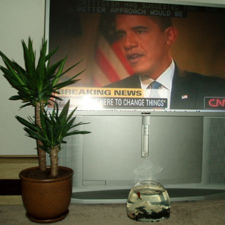 Yucca & Obama & Boris  **Cris