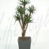 Plante artificiale