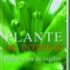 Plante de interior - Plante usor de ingrijit