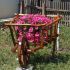 roaba decor gradina
