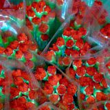 GAROAFE 70 , 65 , 50,