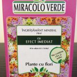 Plante cu Flori - 100 gr.-Miracolo Verde